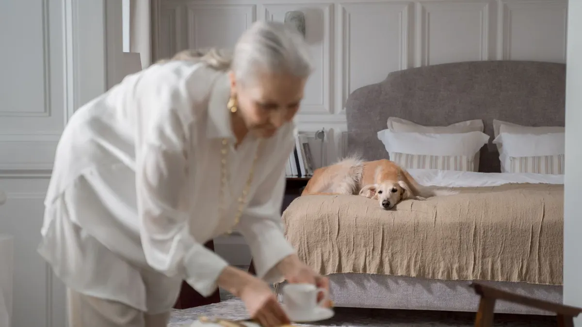 Best Dog Beds for Senior Dogs
