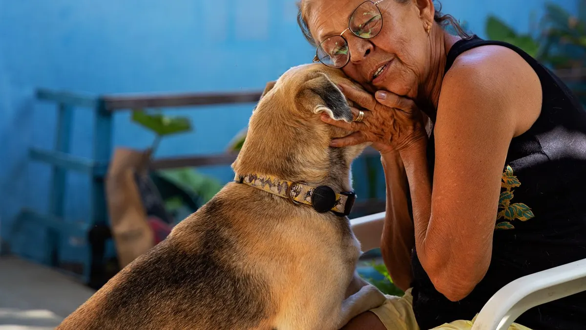 Best Toothbrushes for Senior Dogs