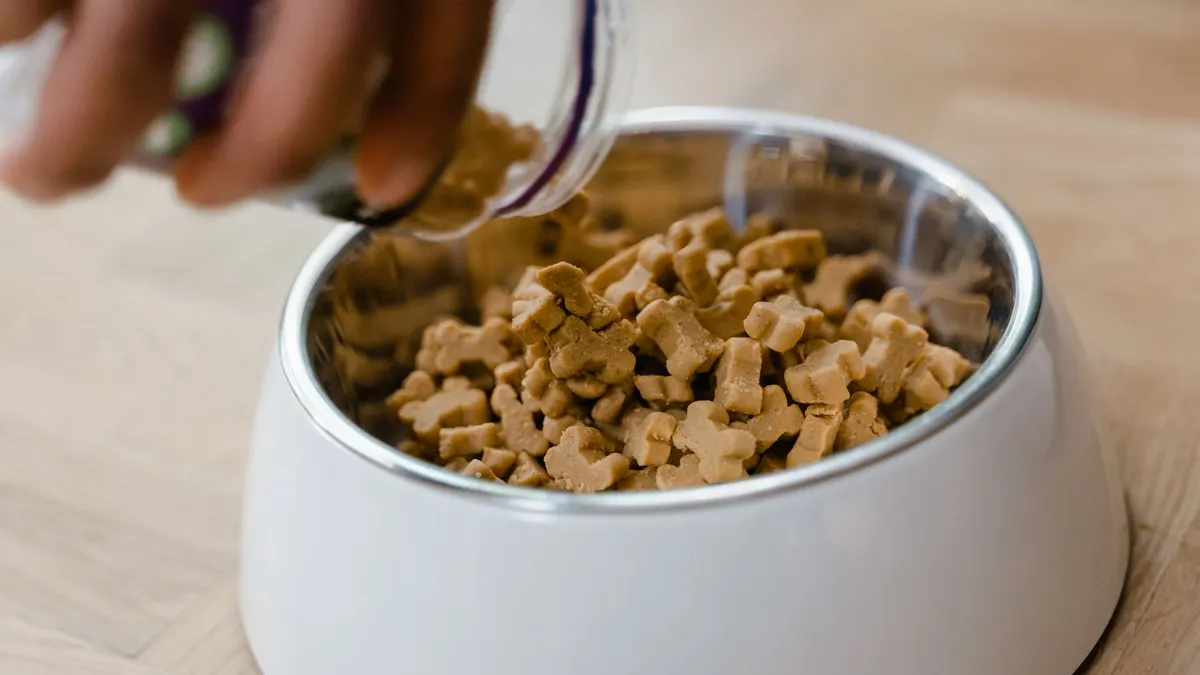 Healthy Treats for Senior Dogs