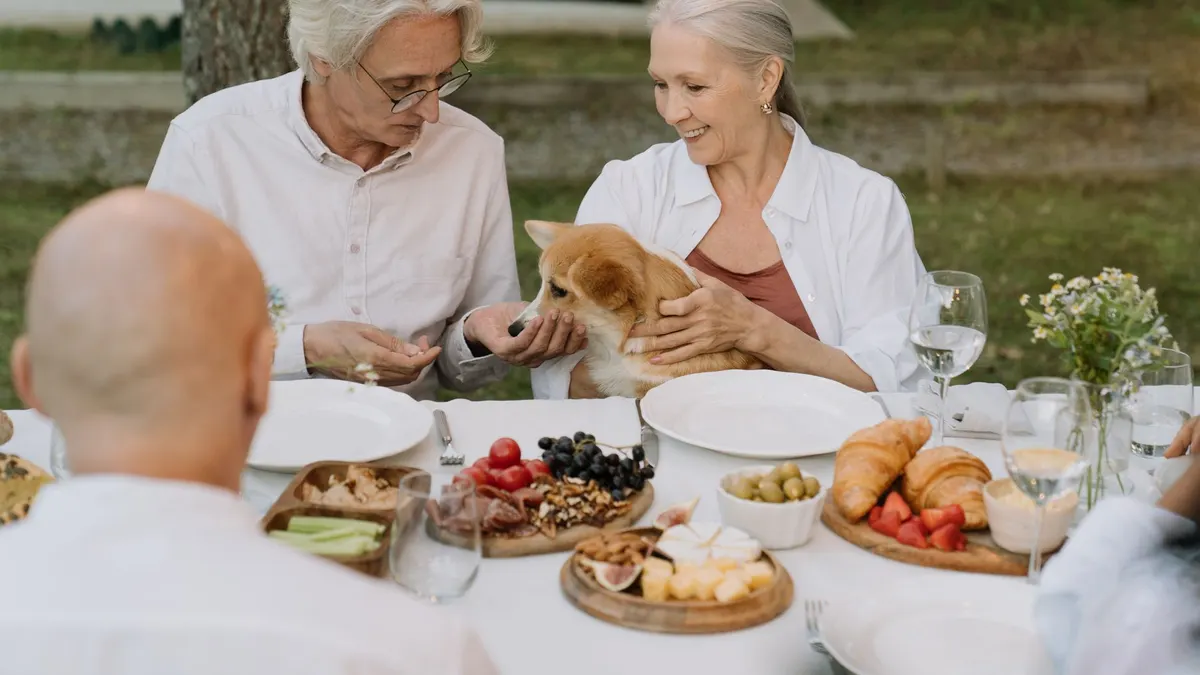 How Should You Feed a Senior Dog?