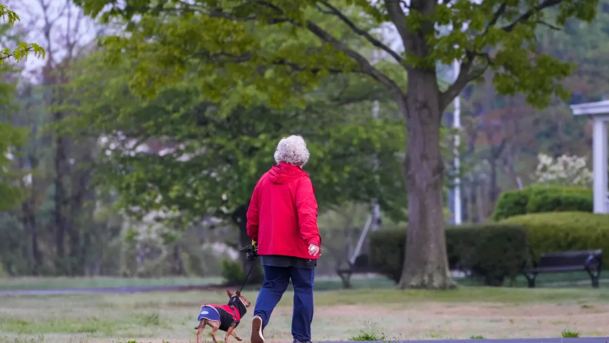 How to Build a Safe Walking Routine for a Senior Dog