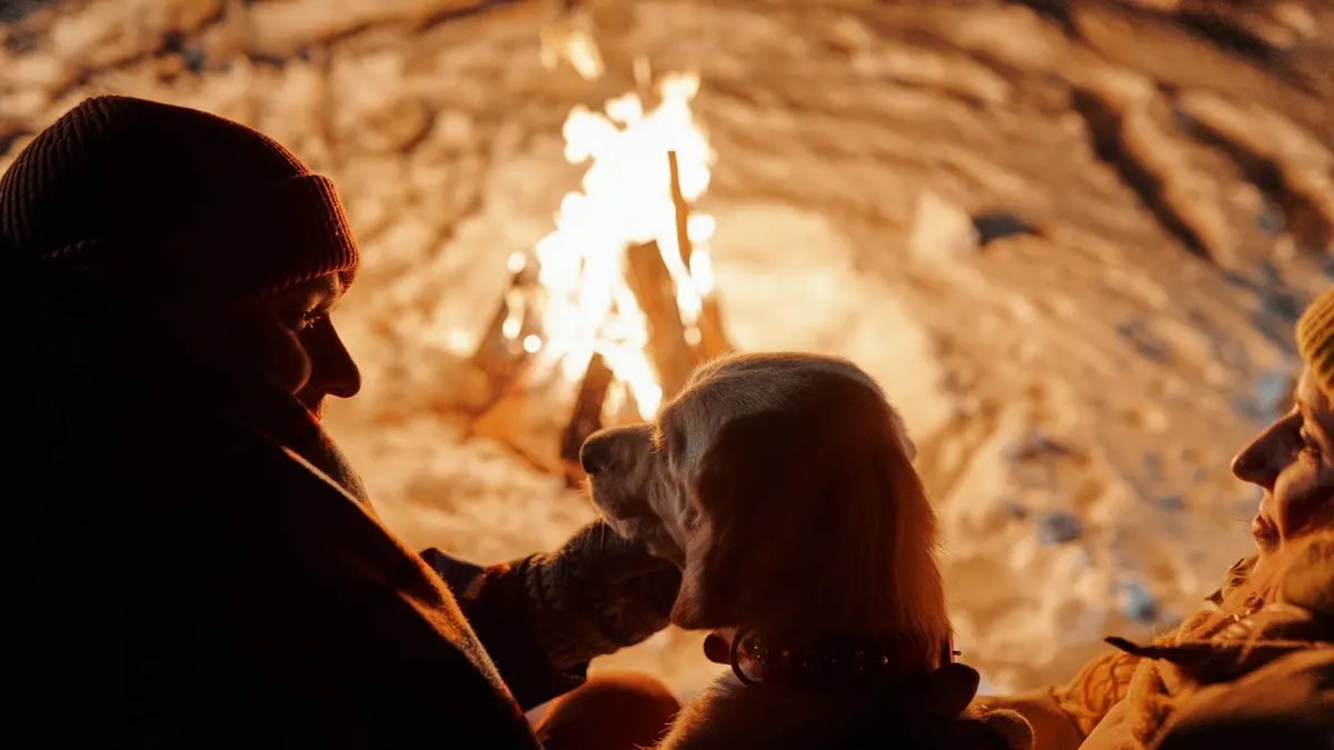 How to Keep an Older Dog Warm in Winter