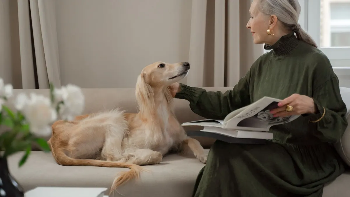 How to Make Your Home Safe for a Senior Dog