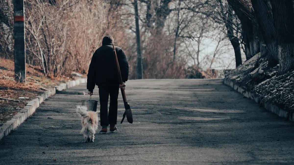 Senior Dog Daily Routine: A Simple, Repeatable Plan