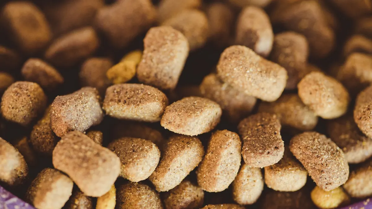 Senior Dog Food: What Nutrients Matter Most?