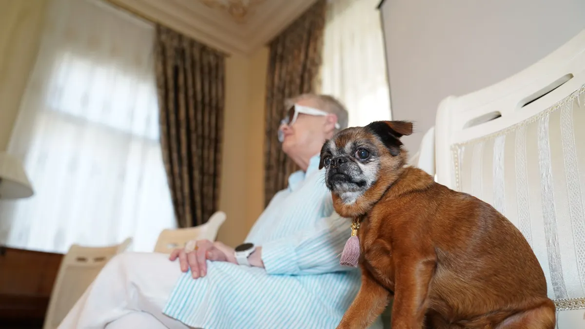 Senior Dog Home Safety Checklist: A Room-by-Room Review