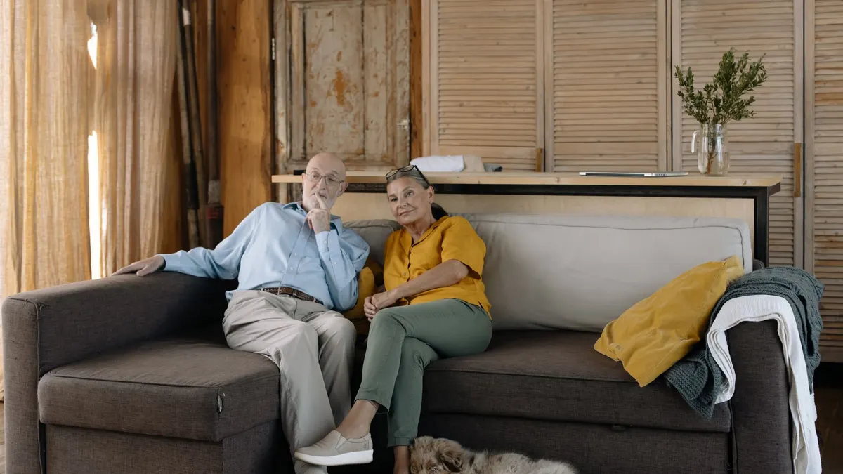 Senior Dog Home Setup: A Room-by-Room Guide