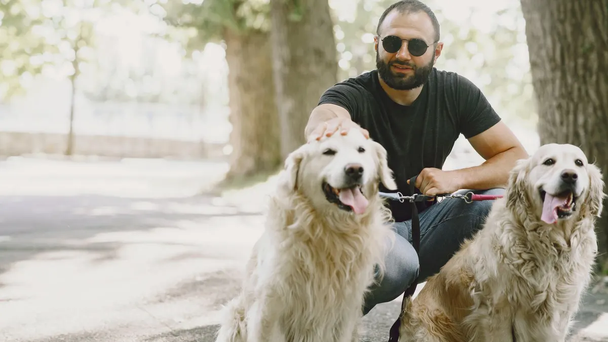 Senior Dog Quality of Life: A Practical Guide for Dog Owners