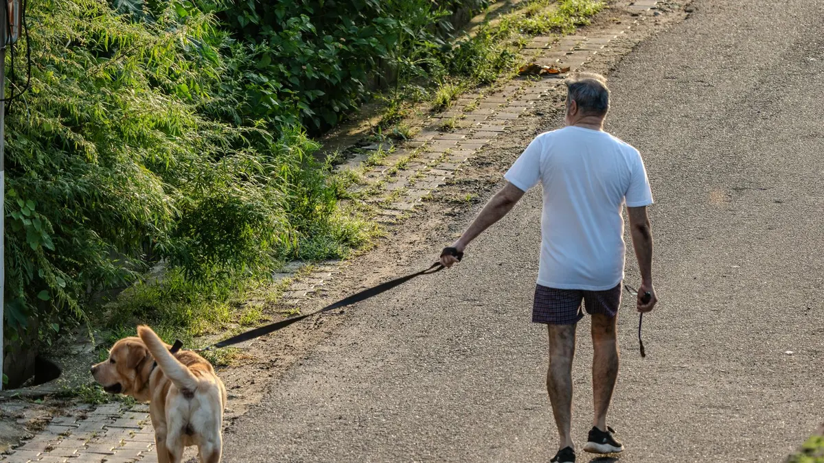 Why Is My Senior Dog Suddenly Following Me Everywhere?